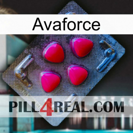 Avaforce 13